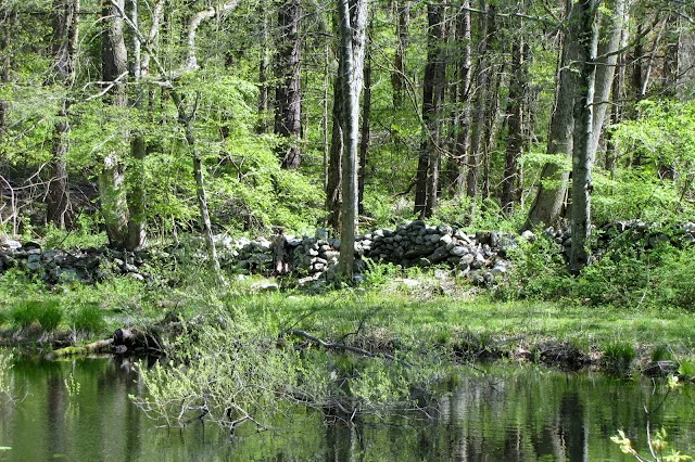 Pond View Preserve — Aspetuck Land Trust